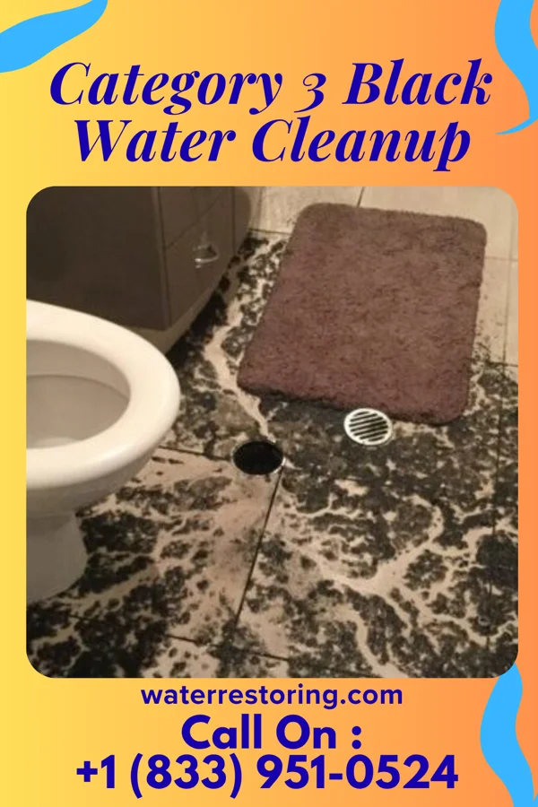 Category 3 Black Water Cleanup in Ramah, CO